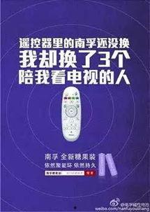 娱乐吃瓜简介文案怎么写,揭秘吃瓜群众的幕后故事
