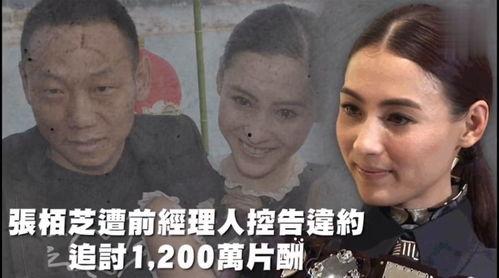娱乐吃瓜好看吗,一场视觉盛宴的感官之旅