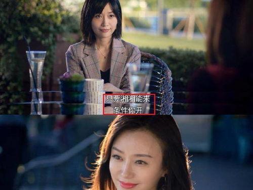 娱乐圈吃瓜反转小说推荐,从绯闻到真相，一场反转的瓜界风云