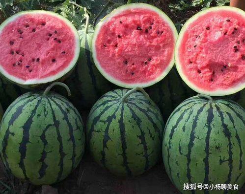 吃瓜不吐香蕉皮娱乐号,揭秘娱乐圈那些鲜为人知的幕后故事