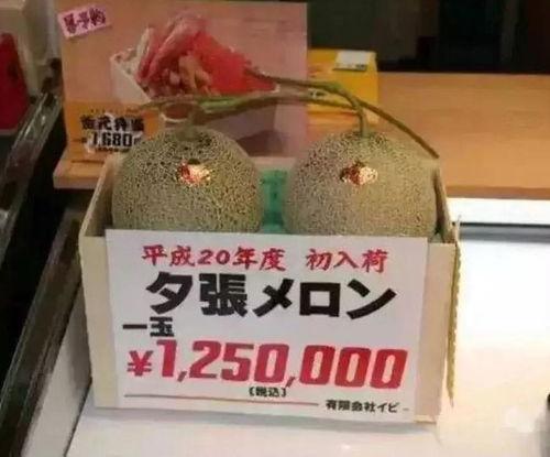 娱乐吃瓜馆,吃瓜馆里的明星幕后故事