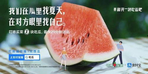 吃瓜娱乐图片文案,揭秘娱乐圈幕后趣闻