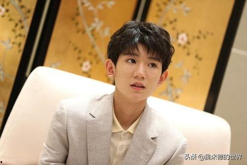 娱乐吃瓜猫白敬亭,娱乐吃瓜猫的时尚魅力