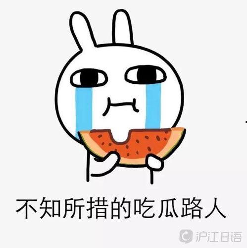 逗尔娱乐吃瓜看点,揭秘娱乐圈最新吃瓜看点，带你领略明星幕后故事