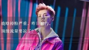 娱乐吃瓜小故事大全集视频,吃瓜小故事大全集视频精彩回顾