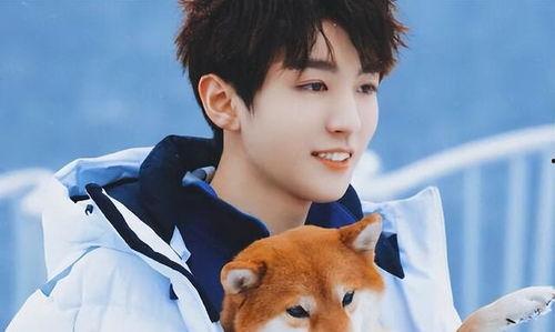 吃瓜娱乐王俊凯,吃瓜娱乐界的青春偶像