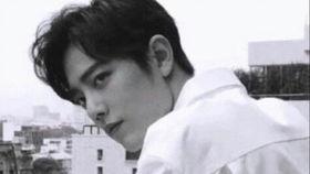 肖战事件娱乐圈吃瓜,肖战事件引发的吃瓜热潮