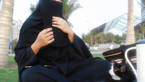 娱乐吃瓜君 道歉,回顾事件始末与反思”