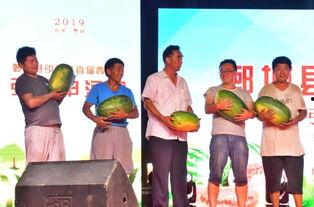 娱乐吃瓜居民,揭秘明星幕后故事