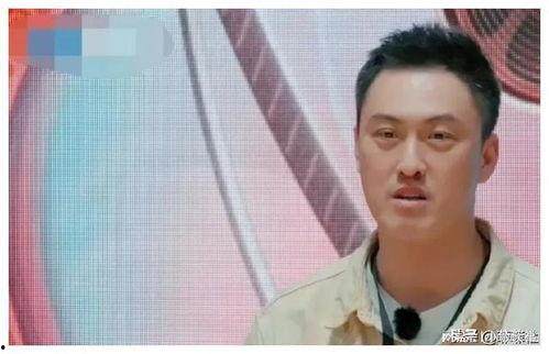 娱乐圈吃瓜爆料偷税,吃瓜群众揭秘幕后真相