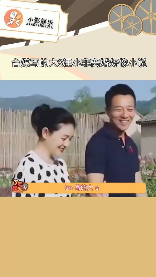 娱乐吃瓜离婚小说